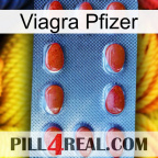 Viagra Pfizer 06